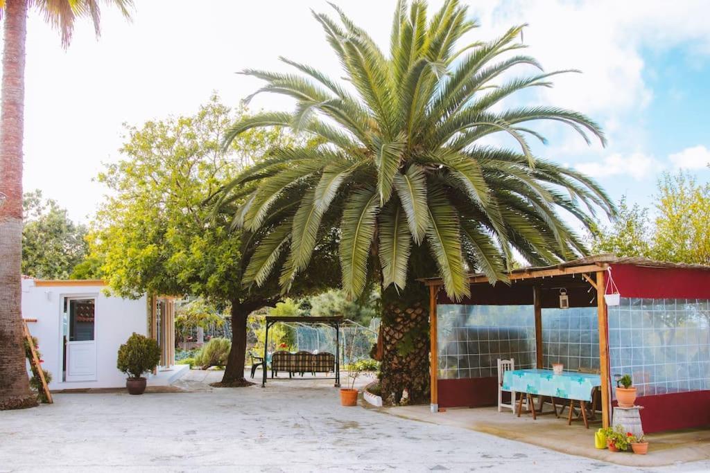 Casita Gopal Vila Icod De Los Vinos Exterior foto